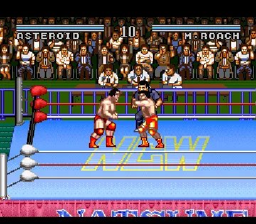 Natsume Championship Wrestling (USA) screen shot game playing